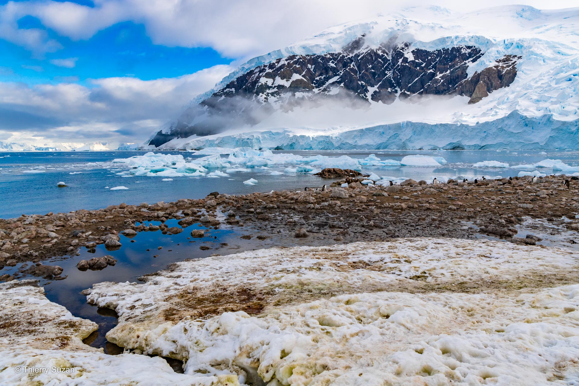 Un écosystème fragile | Péninsule Antarctique